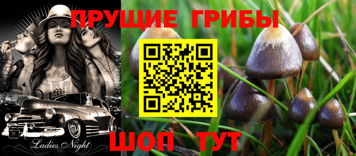 Псилоцибиновые грибы MAGIC MUSHROOMS Соль-Илецк